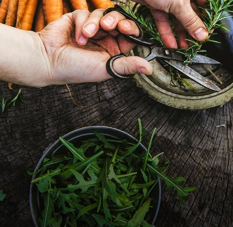 home_vegetables_trailerbox23