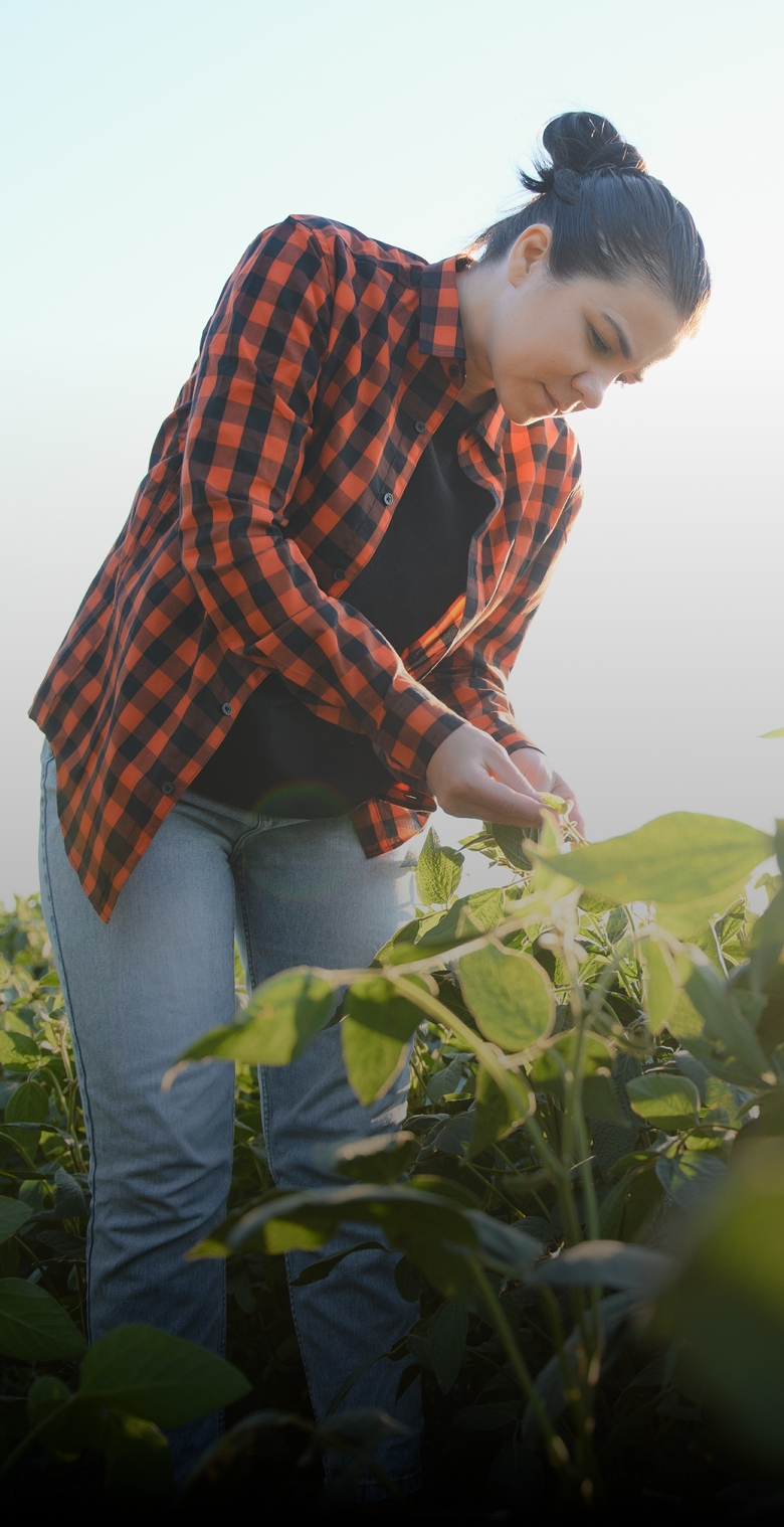 Pretty,Young,Woman,In,Soybean,Field