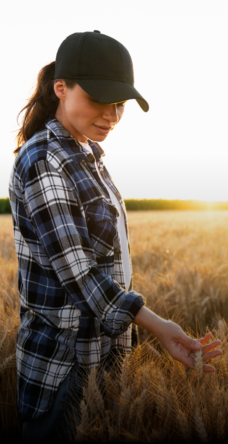 Woman,Farmer,Touches,The,Ears,Of,Wheat,On,An,Agricultural
