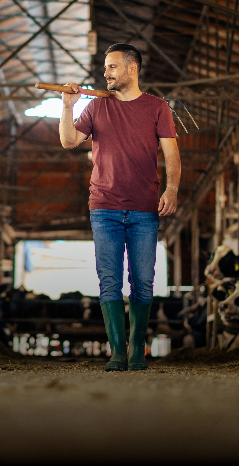 Adult,Man,,Getting,Ready,To,Feed,The,Cows,Some,Hay,